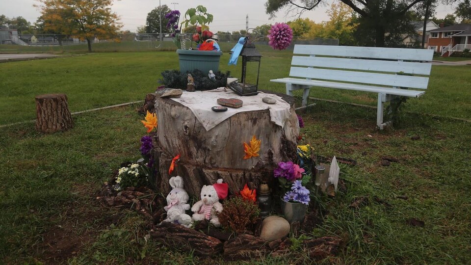 Un banc, une souche, des fleurs et des peluches
