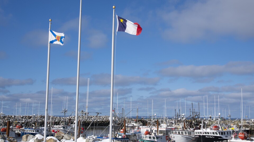 Un drapeau de la Nouvelle-Écosse et un drapeau de l'Acadie flottent au-dessus d'un quai couvert de neige, où sont amarrés des dizaines de petits bateaux de pêche.