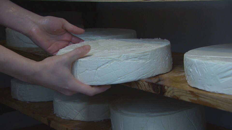 Deux mains retirent une meule de fromage blanc d'une étagère en bois.