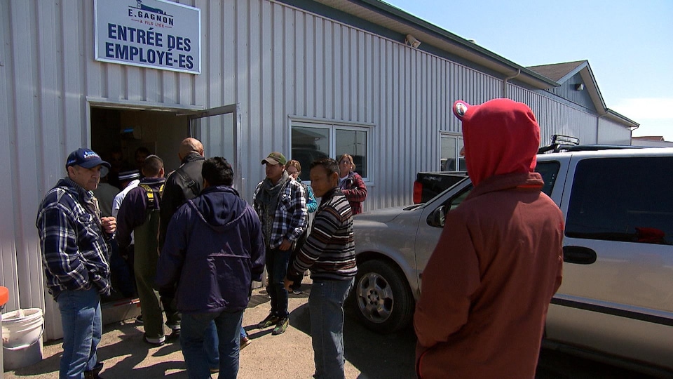 Un groupe de travailleurs devant l'entrée des employés de l'usine E. Gagnon et fils de Sainte-Thérèse-de-Gaspé.