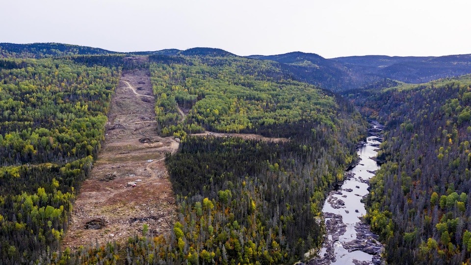 Une ligne de déboisement dans une forêt avec une rivière l'automne.