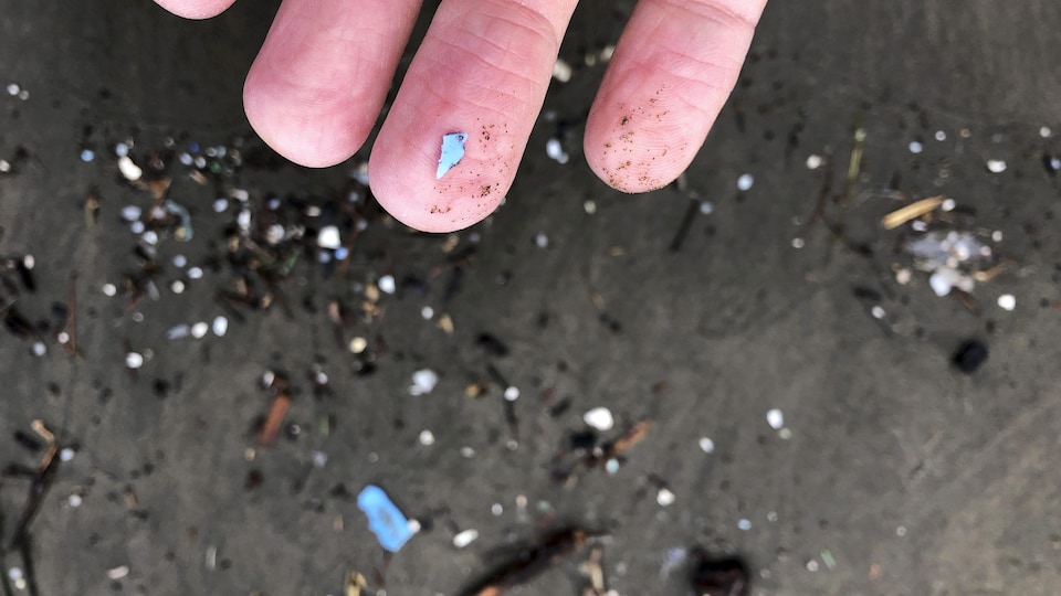 De petits morceaux de plastique retrouvés sur une plage.
