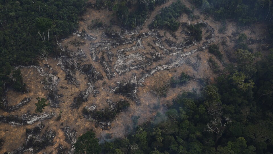 Vue aérienne d'une parcelle déboisée de l'Amazone dans la forêt nationale de Bom Futuro à Porto Velho, État de Rondonia au Brésil