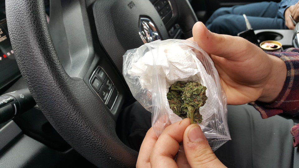 Un conducteur consommant du cannabis au volant