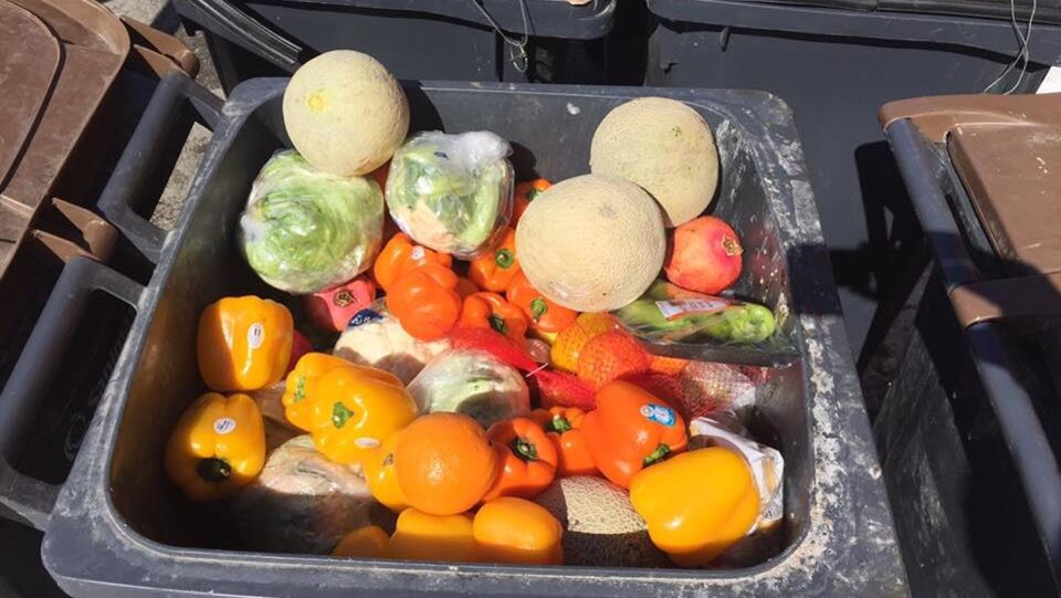 Des poivrons, melons, pommes de laitue, choux-fleurs et plusieurs autres denrées alimentaires ont été jetés dans une poubelle.