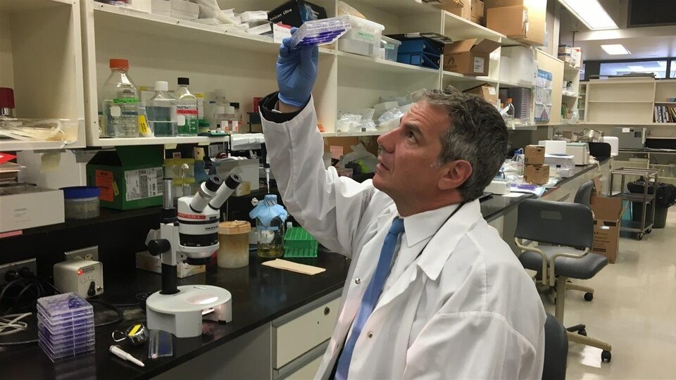 Gary Kobinger, directeur du Centre de recherche en infectiologie (CRI) de Centre de recherche du CHU de Québec et de l'Université Laval