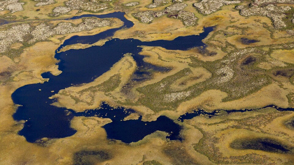 Vue aérienne de milieux humides dans la toundra arctique en Sibérie.