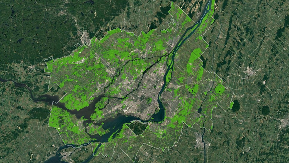 Carte des milieux naturels de la Communauté métropolitaine de Montréal.