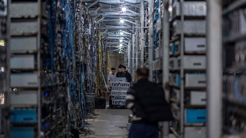 Des travailleurs transfèrent des mineurs de cryptomonnaies dans une ferme en Chine.