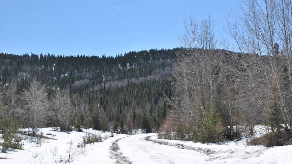 rencontre chibougamau