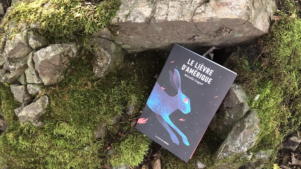 Le livre, sur lequel figure le devant d'un lièvre en mouvement, est posé entre mousse et pierre, devant ce qui semble être l'entrée d'un terrier.