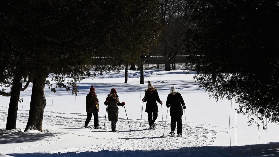 Quatre personnes marchent sur un sentier enneigé en utilisant bâtons et raquettes.