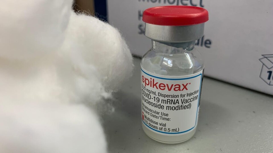 Une fiole du vaccin Spikevax de Moderna.