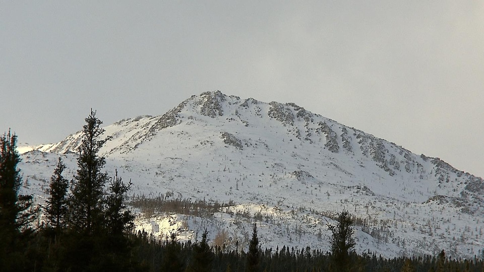 Le mont Albert, dans le parc de la Gaspésie