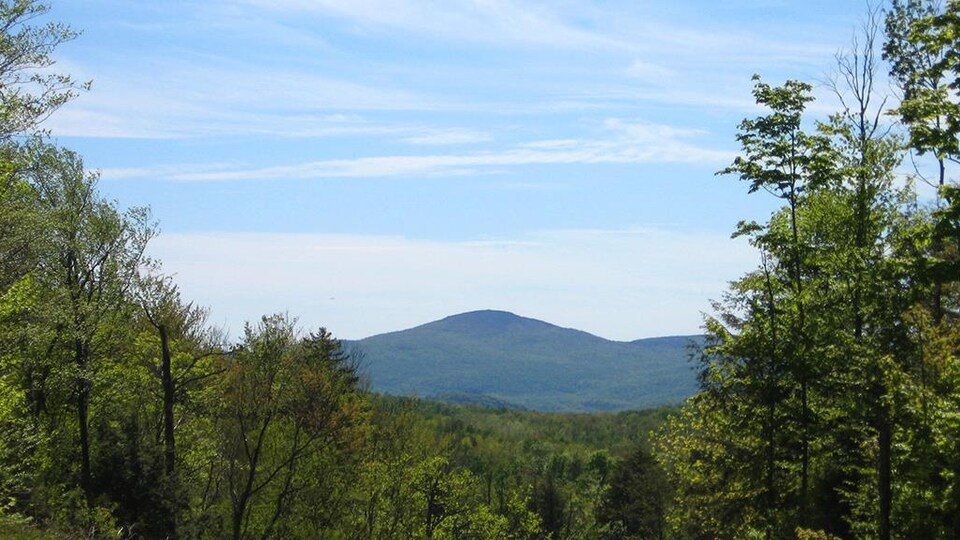 Vue sur le mont Foster.