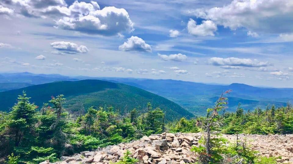 Le sommet du mont Gosford.