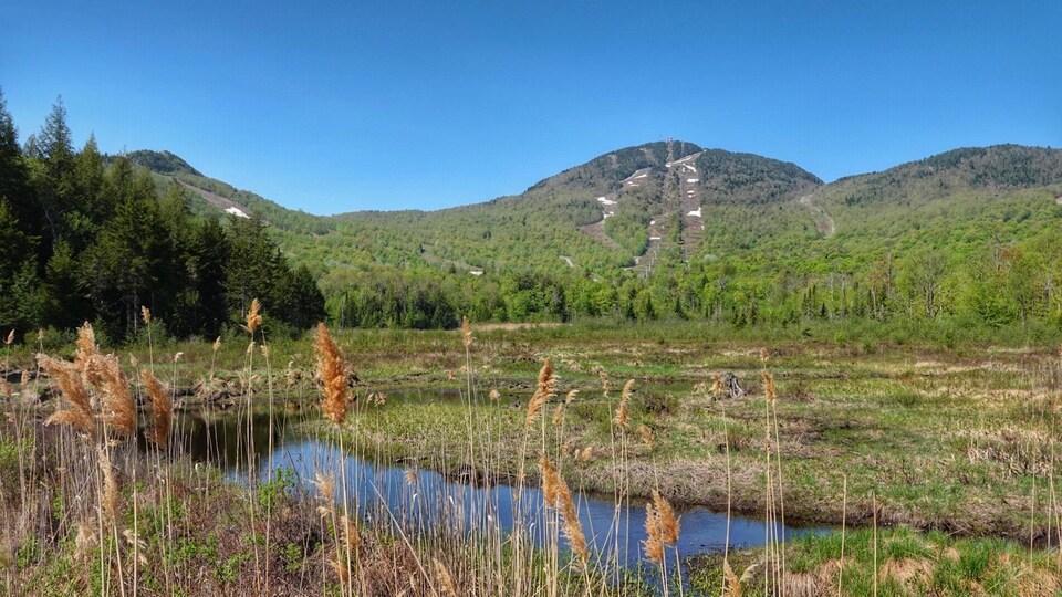 Le mont Orford vu de loin.