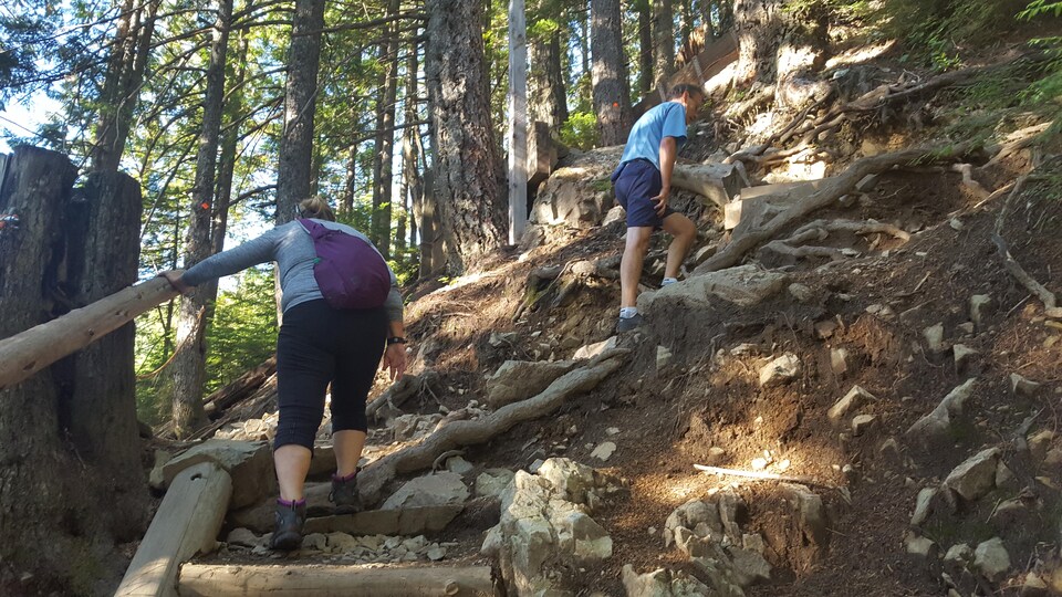 Two hikers climbed a very steep path in the forest.