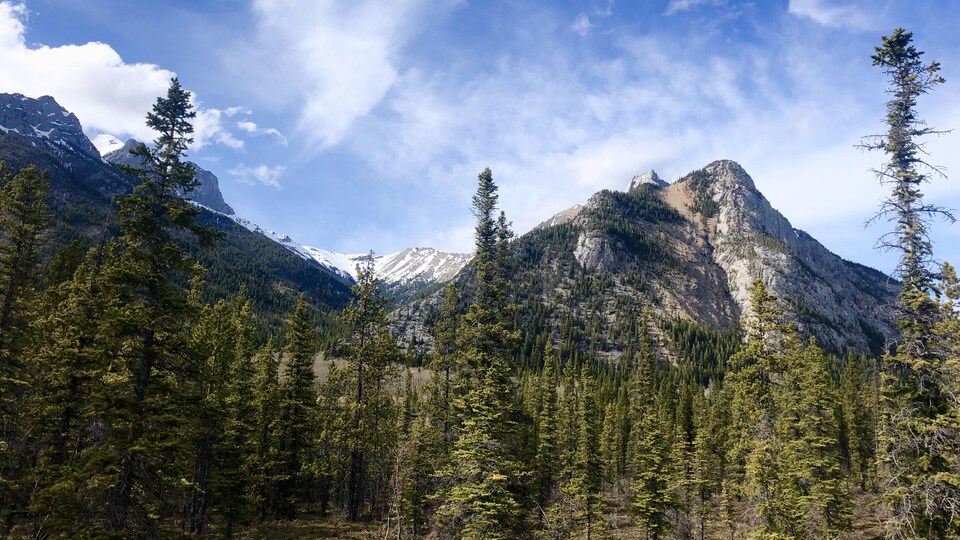 Des montagnes dans le parc provincial de Kananaskis.