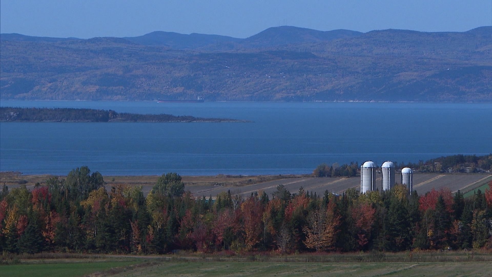 Une vue du fleuve Saint-Laurent, avec des silos de ferme en avant-plan et les montagnes de Charlevoix en arrière-plan.