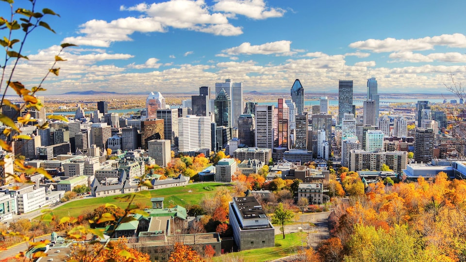 Plan panoramique du centre-ville de Montréal.