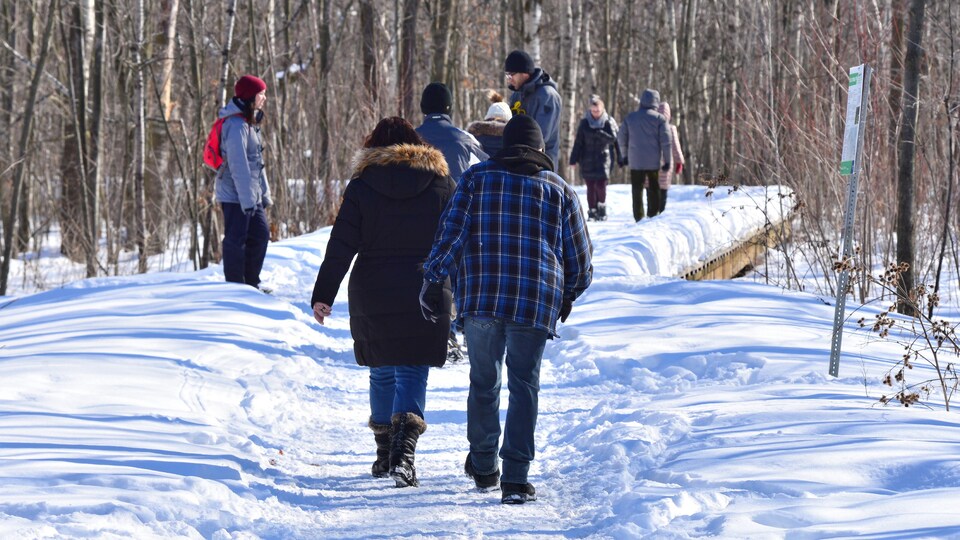 Plusieurs personnes marchent dans un parc en hiver.