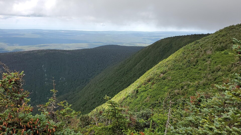 Vue du sommet du mont Blanc, dans la Réserve faunique Matane, un territoire que souhaite voir devenir une aire protégée le Comité de protection des monts Chic-Chocs en Gaspésie.