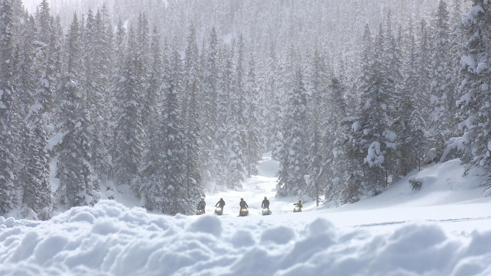 Un groupe de motoneigistes dans les monts Groulx