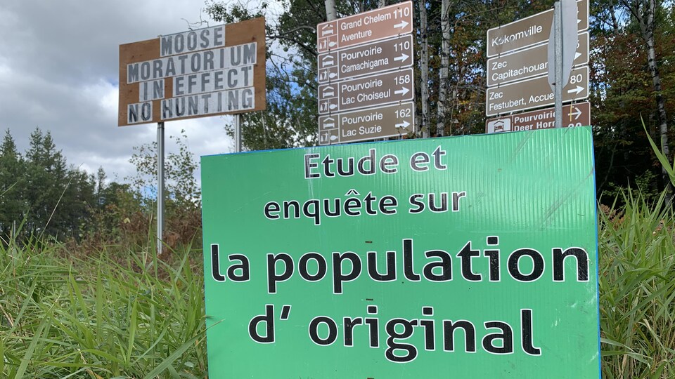Des pancartes en français et en anglais décrivent l'étude et enquête sur la population d'orignal et demandent aux chasseurs de ne pas chasser.