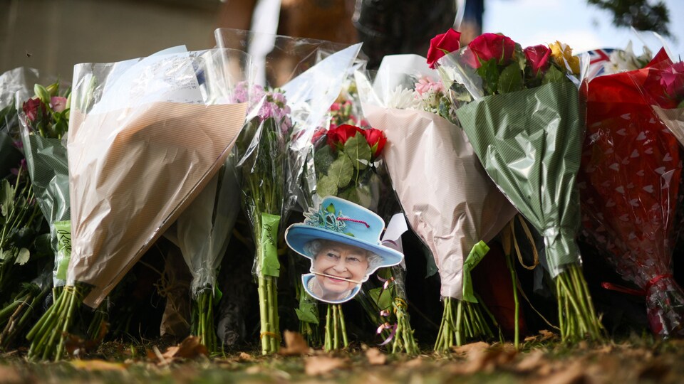 Une photo de la Reine Élisabeth II parmi des fleurs.