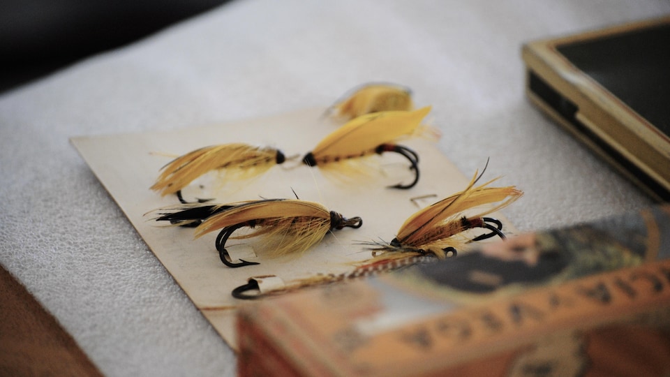 Cadre Collection Timbres Commémoratifs 1991 Sur Le Thème De La Pêche à La Mouche