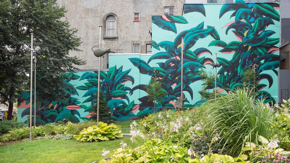 Des feuilles et de la verdure sur un mur.