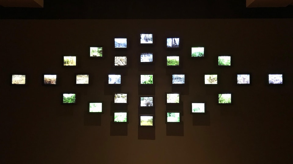Plusieurs écrans sont accrochés au mur.