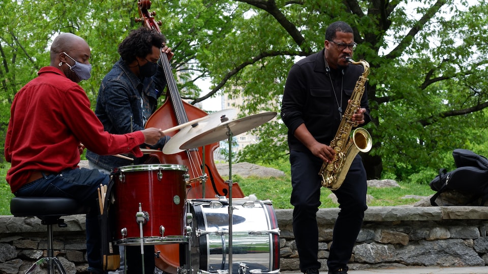 A concert presented in Central Park during the past year. 