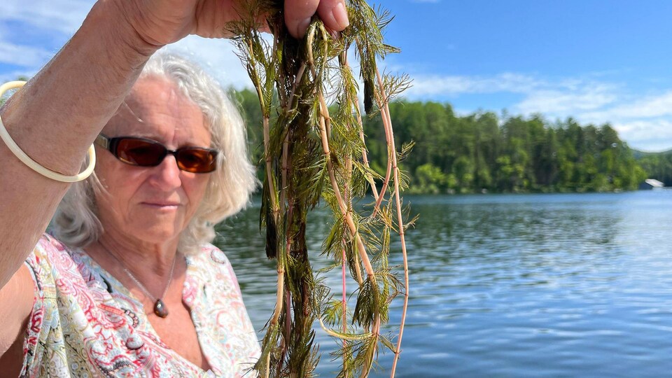 Marlène Thonnard tient un spécimen de myriophylle à épis devant le lac. 