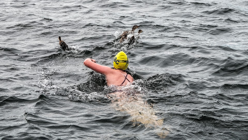 Une femme nage dans un lac avec des canards. 