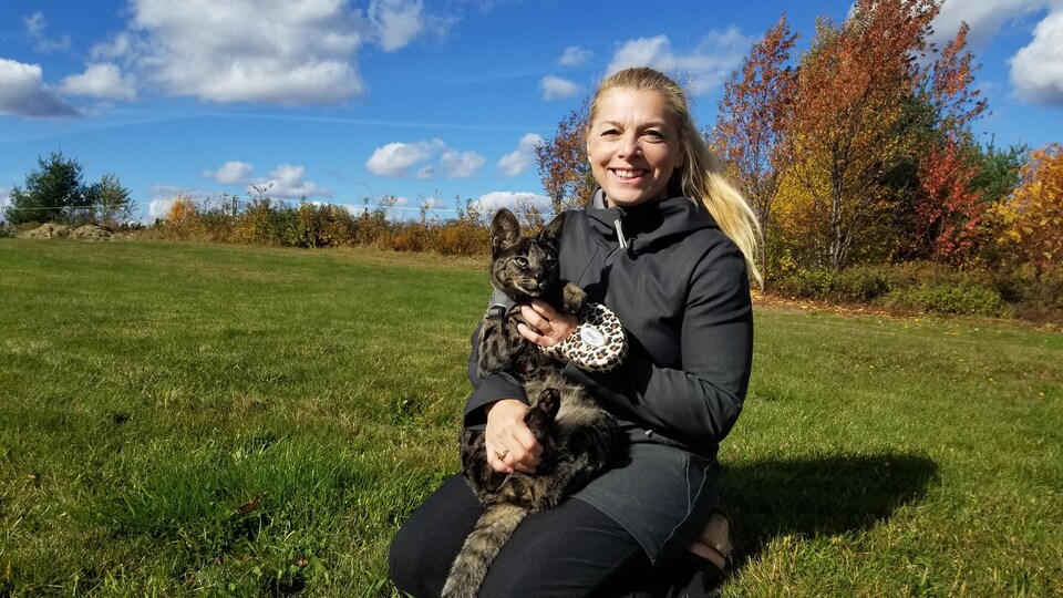 Cri Du Cœur Pour Retrouver Un Chat De Grande Valeur Perdu A Sherbrooke Radio Canada Ca