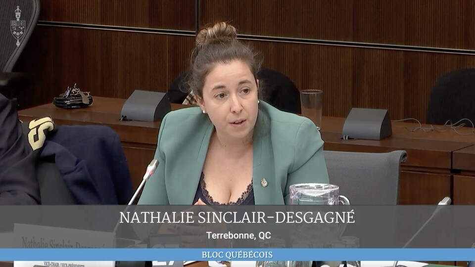 Nathalie sinclair-desgagné, bloc québécois critic for public affairs.