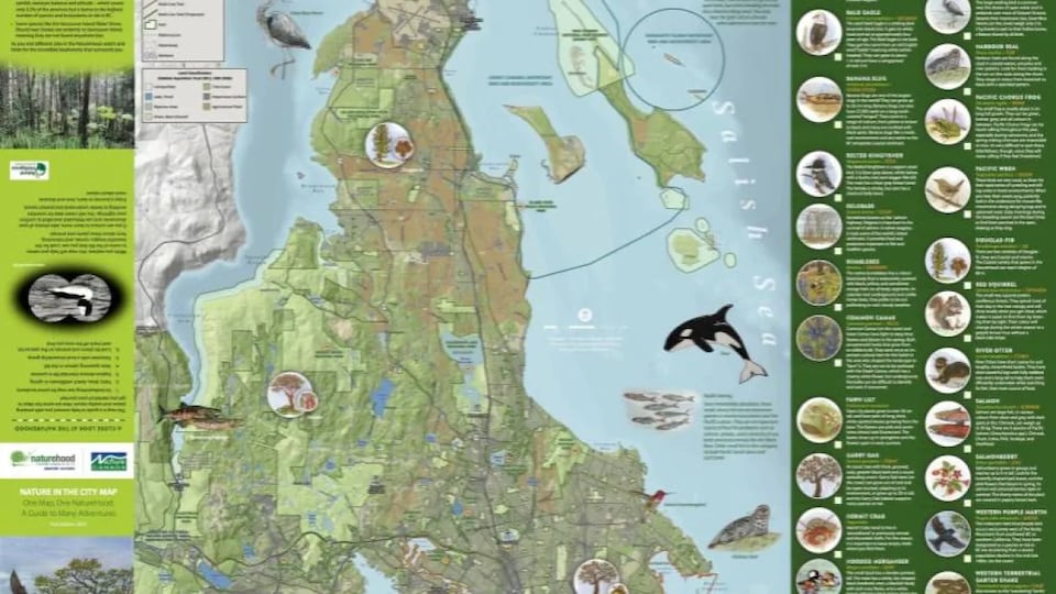 Une carte avec des informations sur des espèces d'animaux et de plantes.