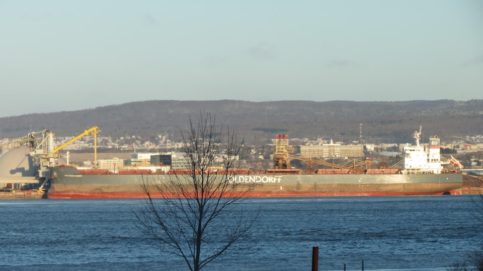 Le Rixta Oldendorff amarré au quai 52 du Port de Québec
