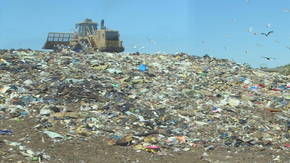 Si la Ville d'Halifax ne trouve pas de solution, elle devra jeter les pellicules de plastique de son territoire dans un site d'enfouissement. 