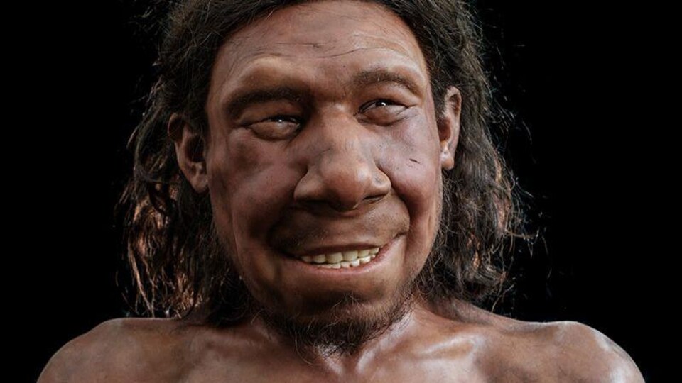 Reconstitution du visage d'un Néandertalien