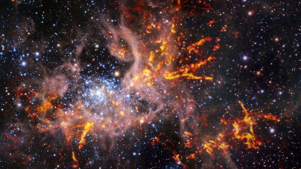 Image composite infrarouge et radio de la région de formation d’étoiles 30 Doradus, également connue sous le nom de nébuleuse de la Tarentule.