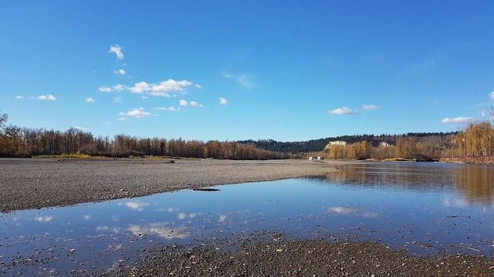 Une rivière presqu'inexistante.