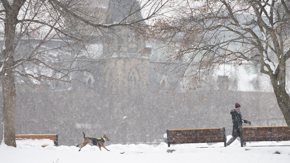 Une femme promène son chien dans un parc alors qu'il neige.