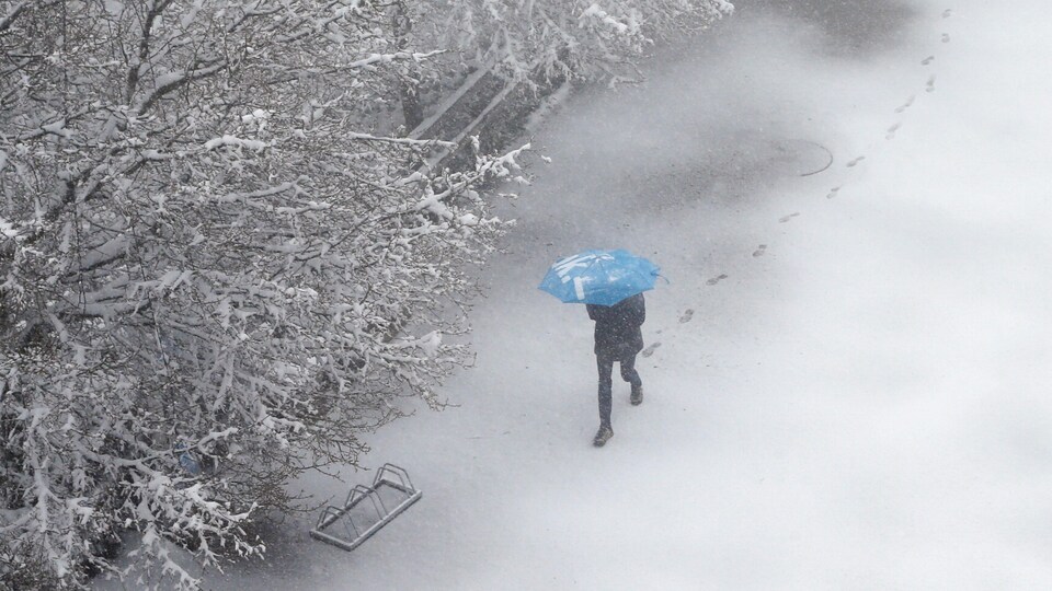 Une personne marche dans un parc enneigé en tenant un parapluie.