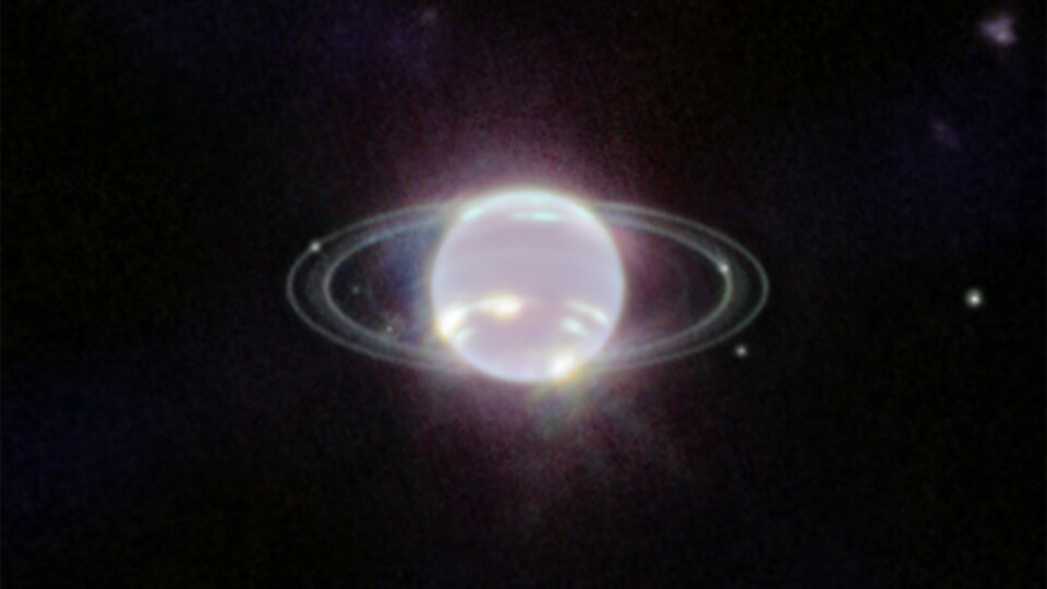 Image de la planète Neptune et de ses anneaux, qui a une teinte blanc grisé.