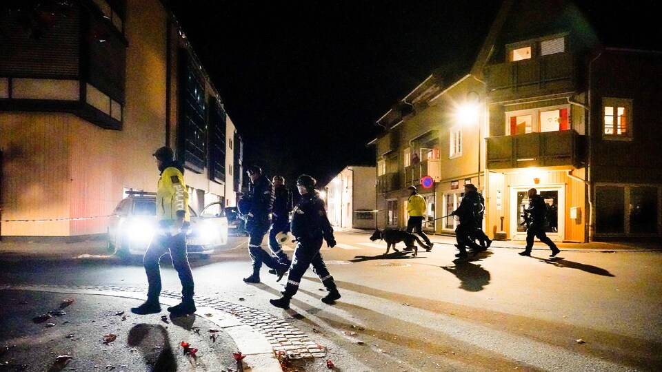 Plusieurs policiers et des maîtres-chiens marchent dans un quartier la nuit.