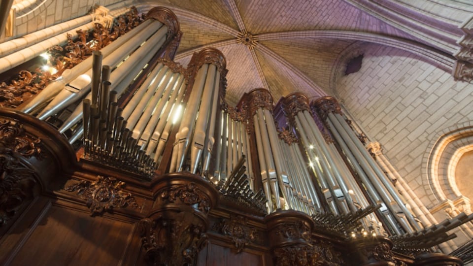 L'orgue de la cathédrale, vu en contre-plongée