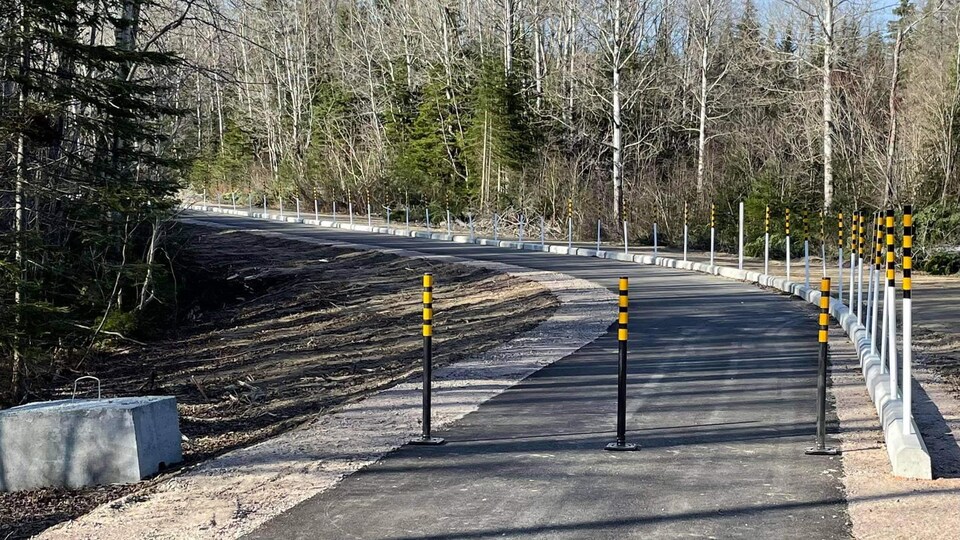 La piste asphaltée qui passe dans la forêt est maintenant prête.